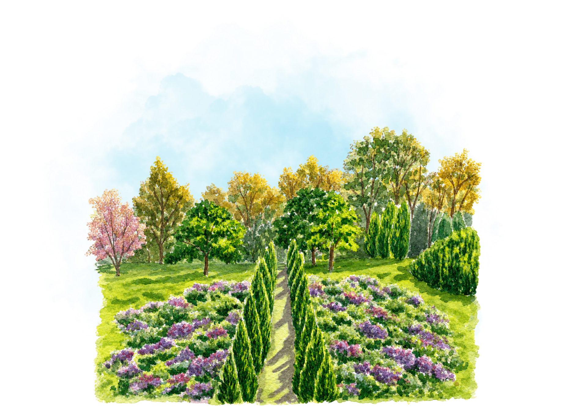Watercolour of the cypress-lined garden path in bloom at Red Leaf